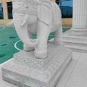 舟山 白麻花岗岩动物异形石雕-大象
