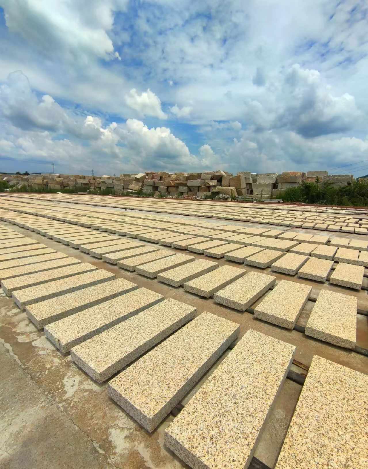 舟山 黄金麻荔枝面花岗岩石材地铺石防护中