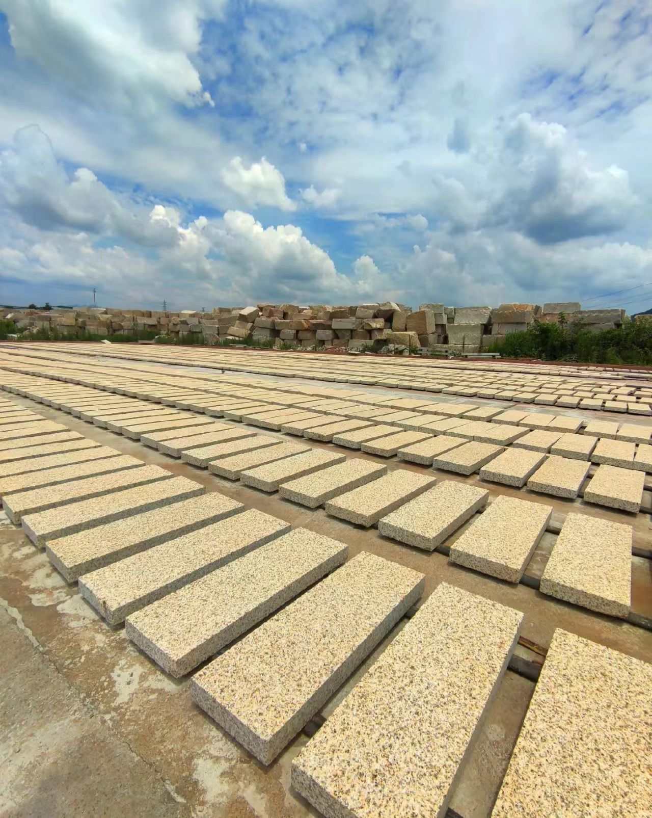 舟山 黄金麻花岗岩荔枝面地铺石防护中