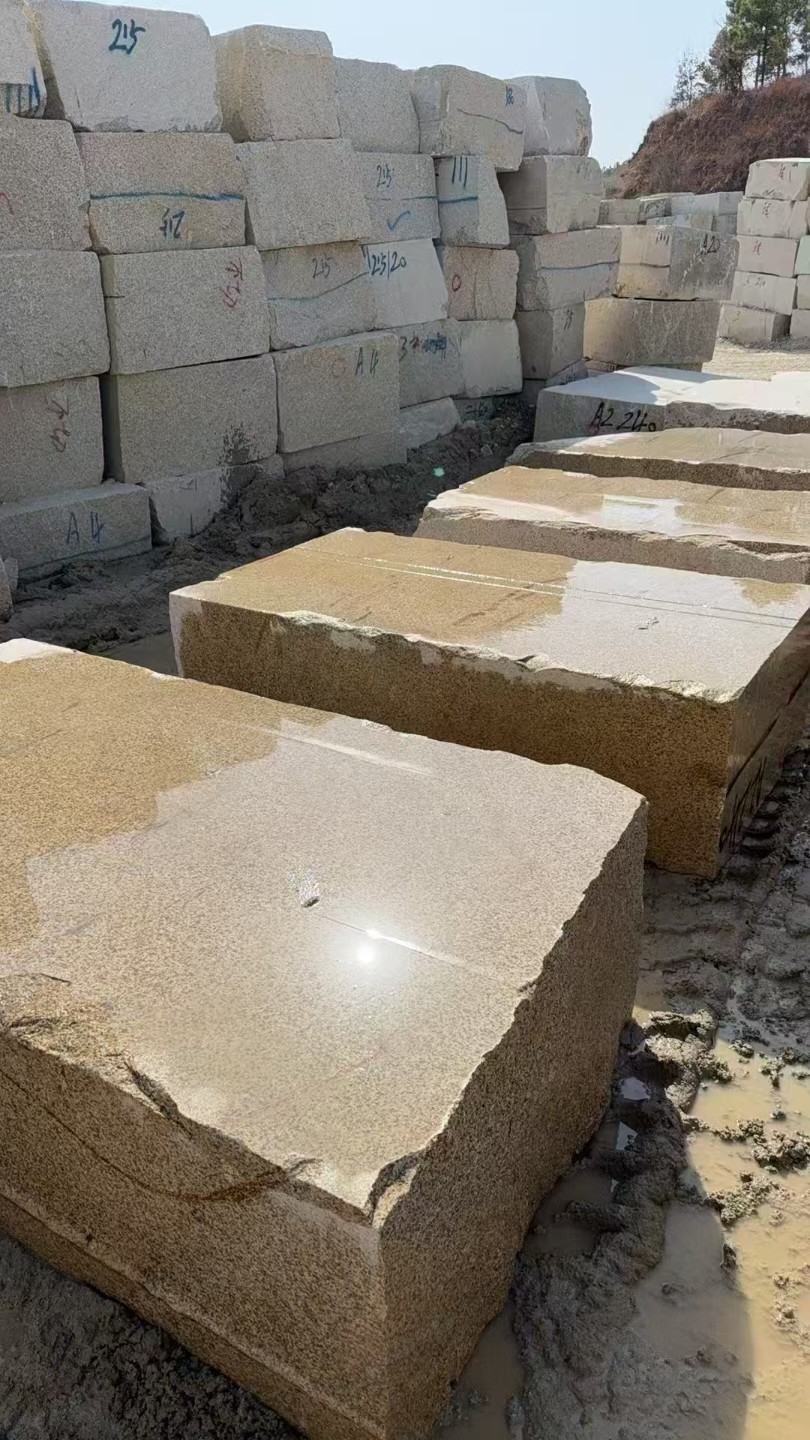 舟山 黄金麻方料堆场洗料分选中，原材料充足